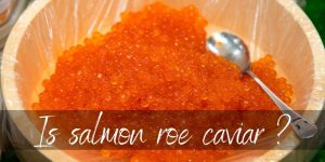 Read more about the article Is Salmon Roe Caviar ? Here’s What It Really Is
