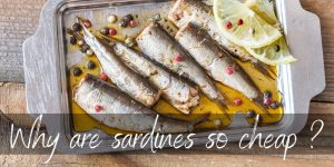 Read more about the article Why Are Sardines So Cheap ? 3 Great Reasons
