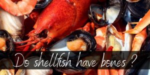 Read more about the article Do Shellfish Have Bones ? Meet Your Next Favorite Seafood