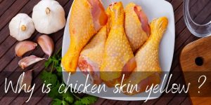 Read more about the article Why Is Chicken Skin Yellow ? Two Reasons Not To Panic