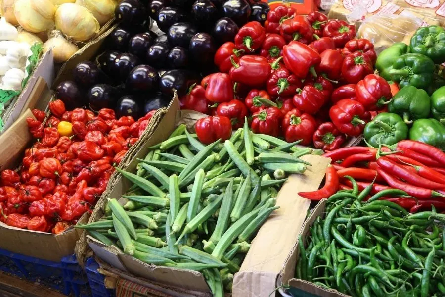 eggplant store