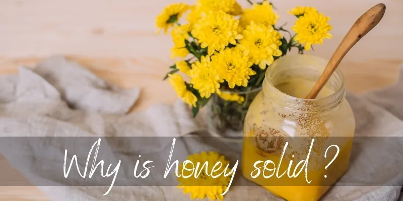 Why Did My Honey Turn Solid?
