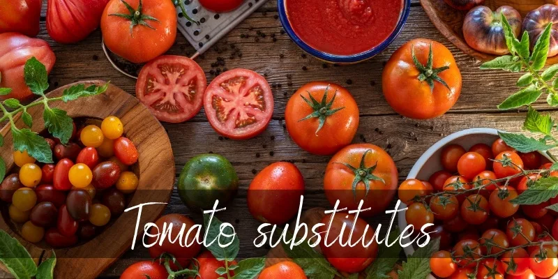 tomato substitute