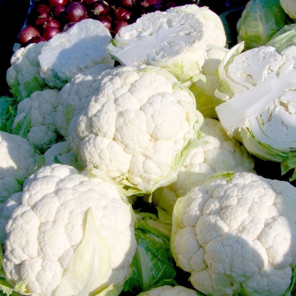 Why Is Cauliflower White ? The Surprising Truth Behind Its Color ...