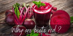 Read more about the article What Makes Beets Red ? Here’s What’s In Them