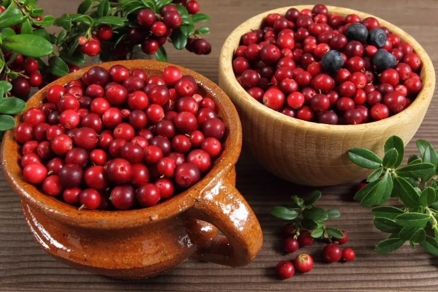 cranberries currant