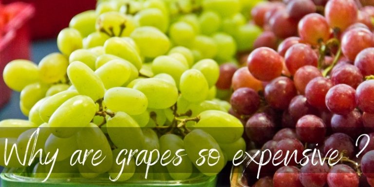 Why Are Grapes So Expensive ? 5 Reasons You're Paying More - Foodiosity