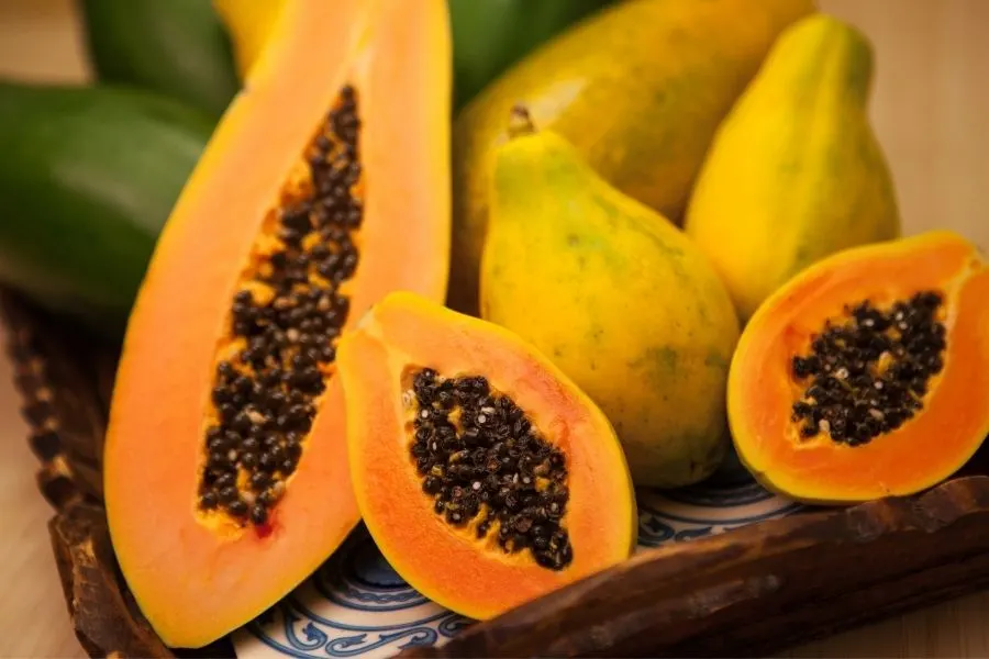 papaya