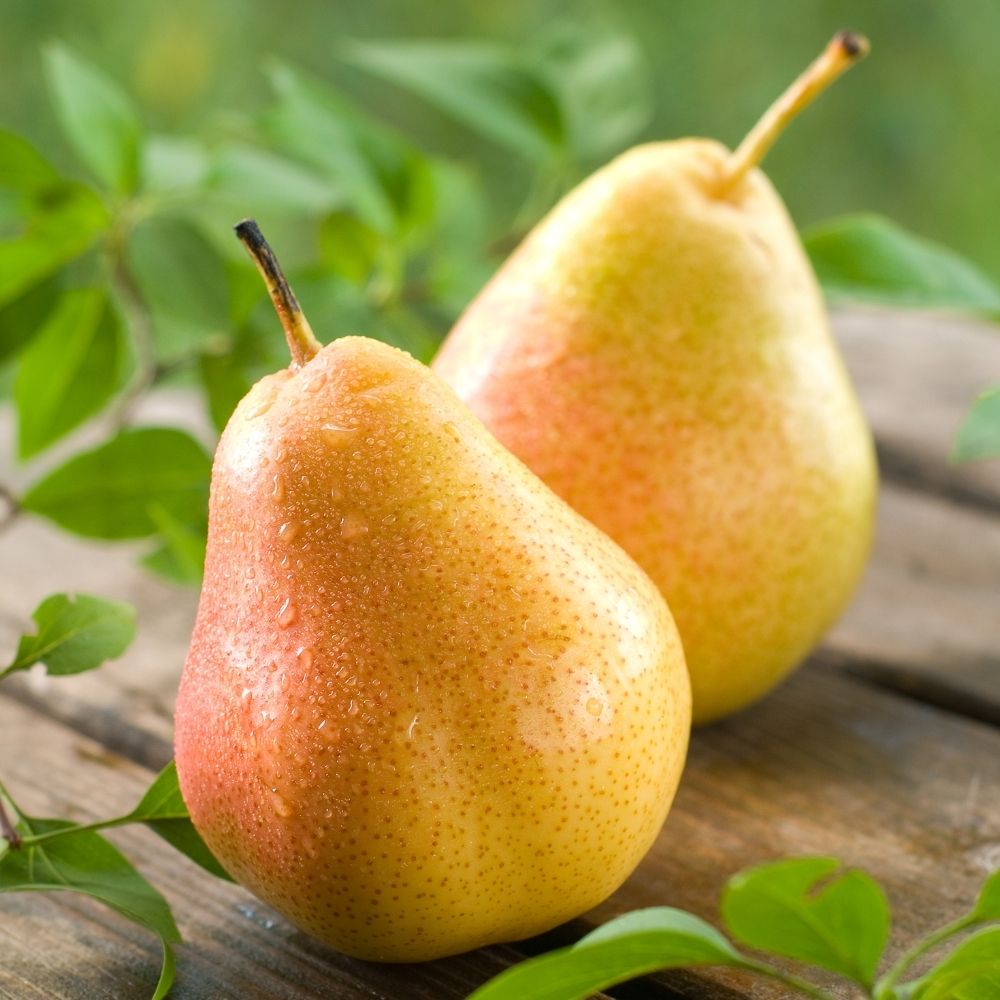 best-pear-substitute-9-delicious-ideas-to-try-next-foodiosity