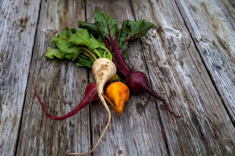 yellow beets