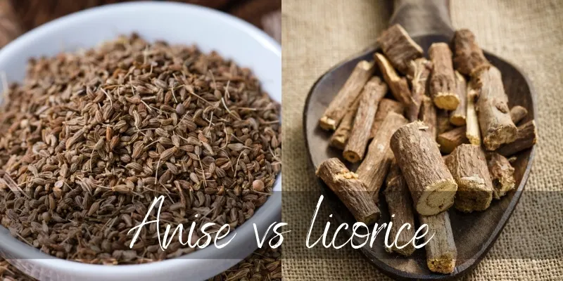 anise vs licorice