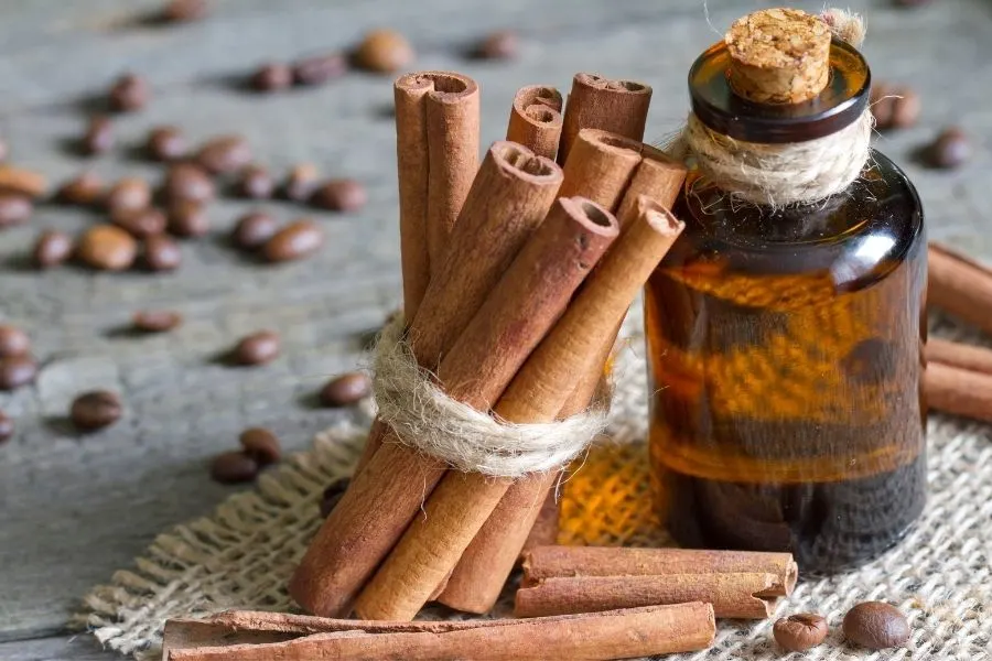 cinnamon oil