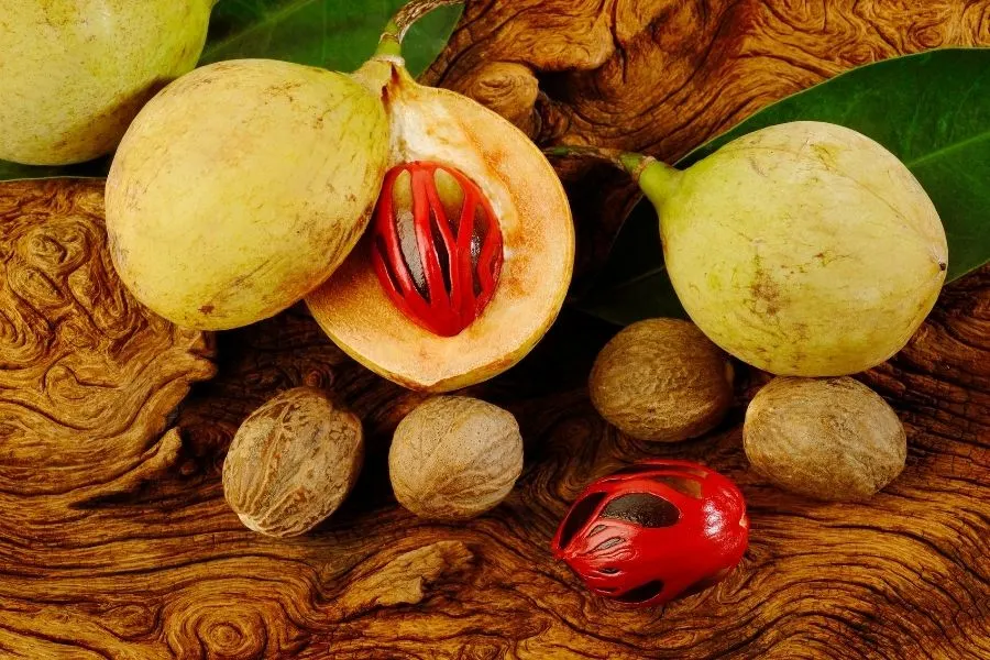 nutmeg fruit