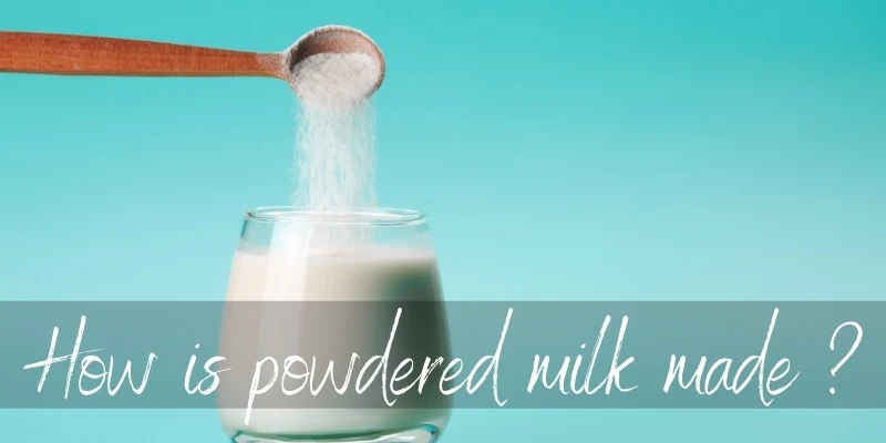 powdered milk