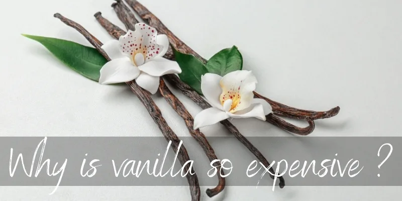 vanilla expensive