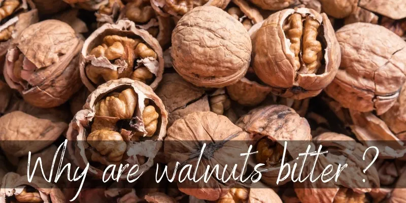 walnut bitter