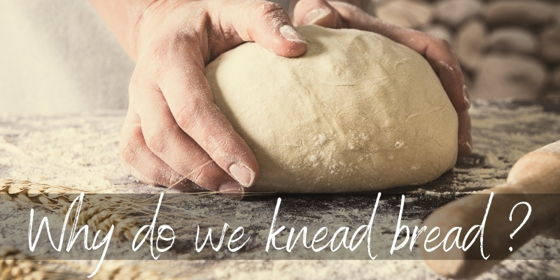 knead bread