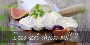 Read more about the article Does Goat Cheese Melt ? Read This Before Buying