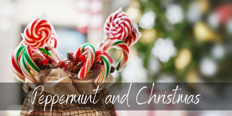 Read more about the article Why Is Peppermint Associated With Christmas ? Here’s The Most Likely Reason