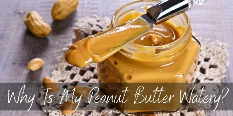 peanut butter oil