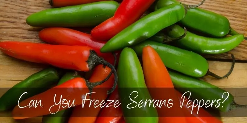 Serrano peppers