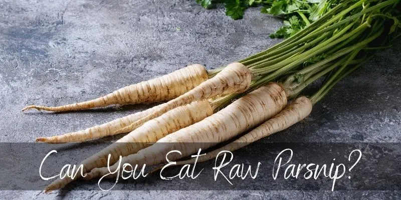 raw parsnip