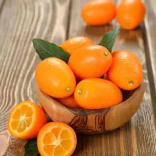 storing kumquat