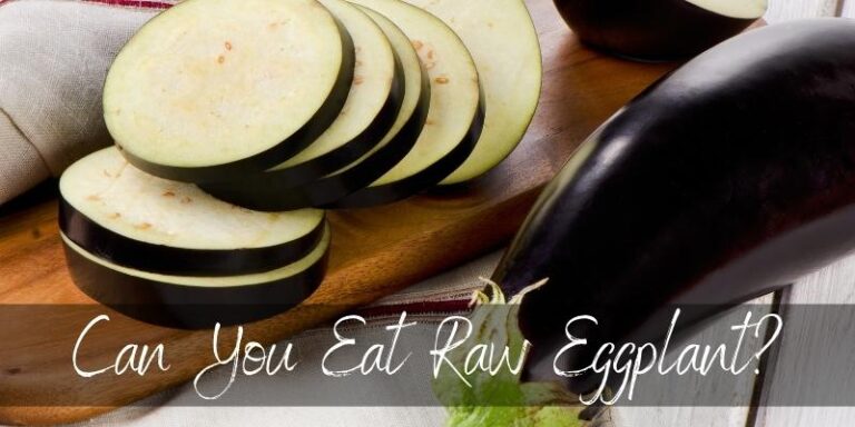 Can You Eat Raw Eggplant? Is It Poisonous? - Foodiosity