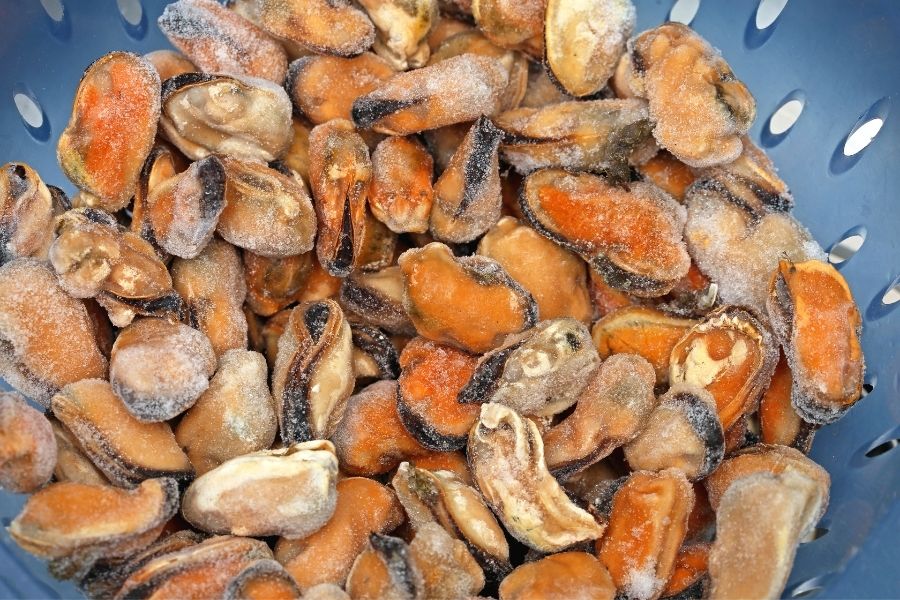 frozen mussels