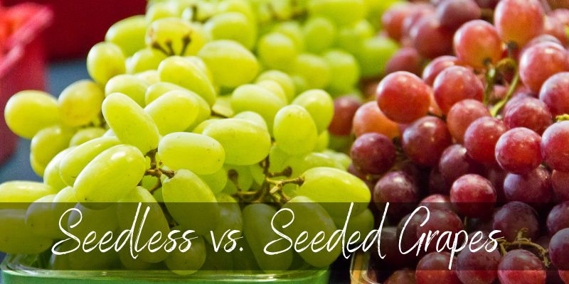 Seedless vs. Seeded Grapes