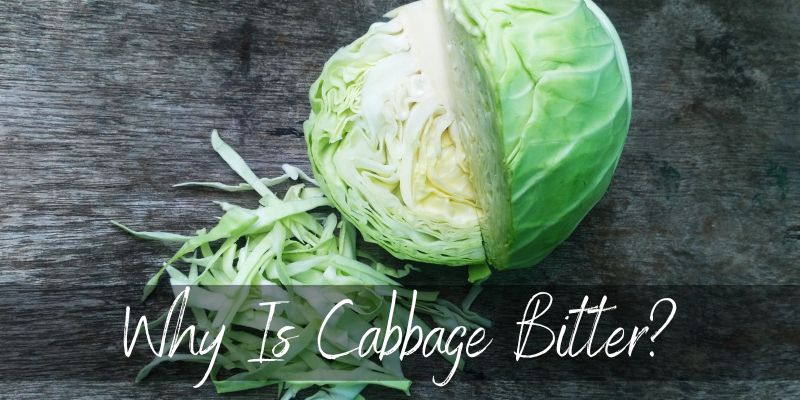 why is cabbage bitter