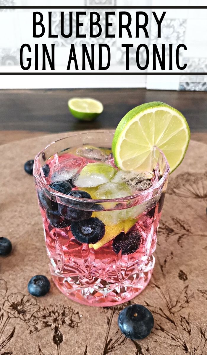 blueberry gin and tonic