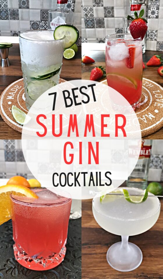 7 Best Summer Gin Cocktails (Easy And Tasty) Foodiosity