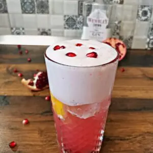 pomegranate gin fizz 2