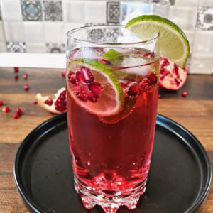 pomegranate gin tonic 2