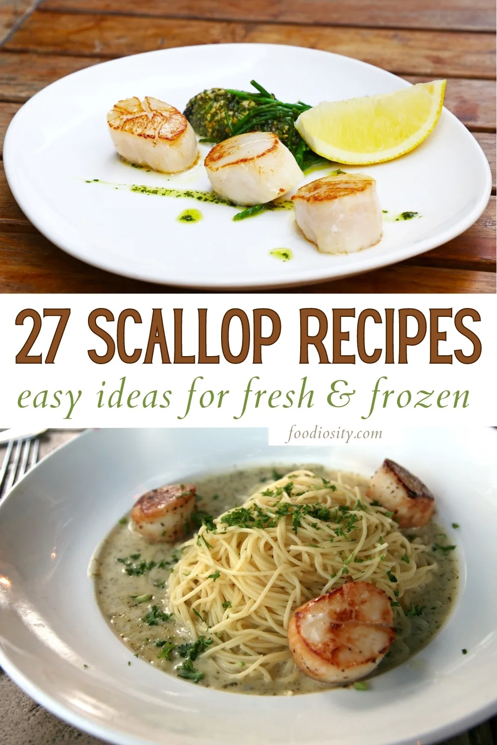 27 scallop recipes 1