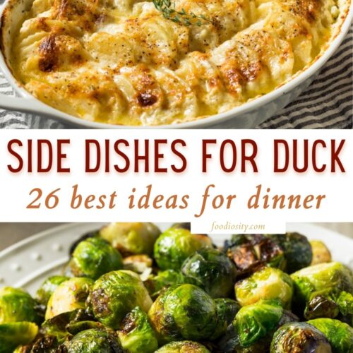 29 Sauces For Duck - Delicious Ideas For Duck - Foodiosity
