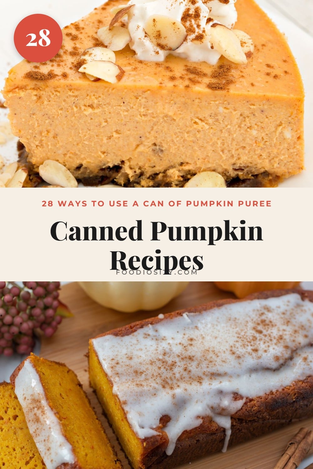 28 Canned Pumpkin Recipes — Use Up That Can of Pumpkin Puree