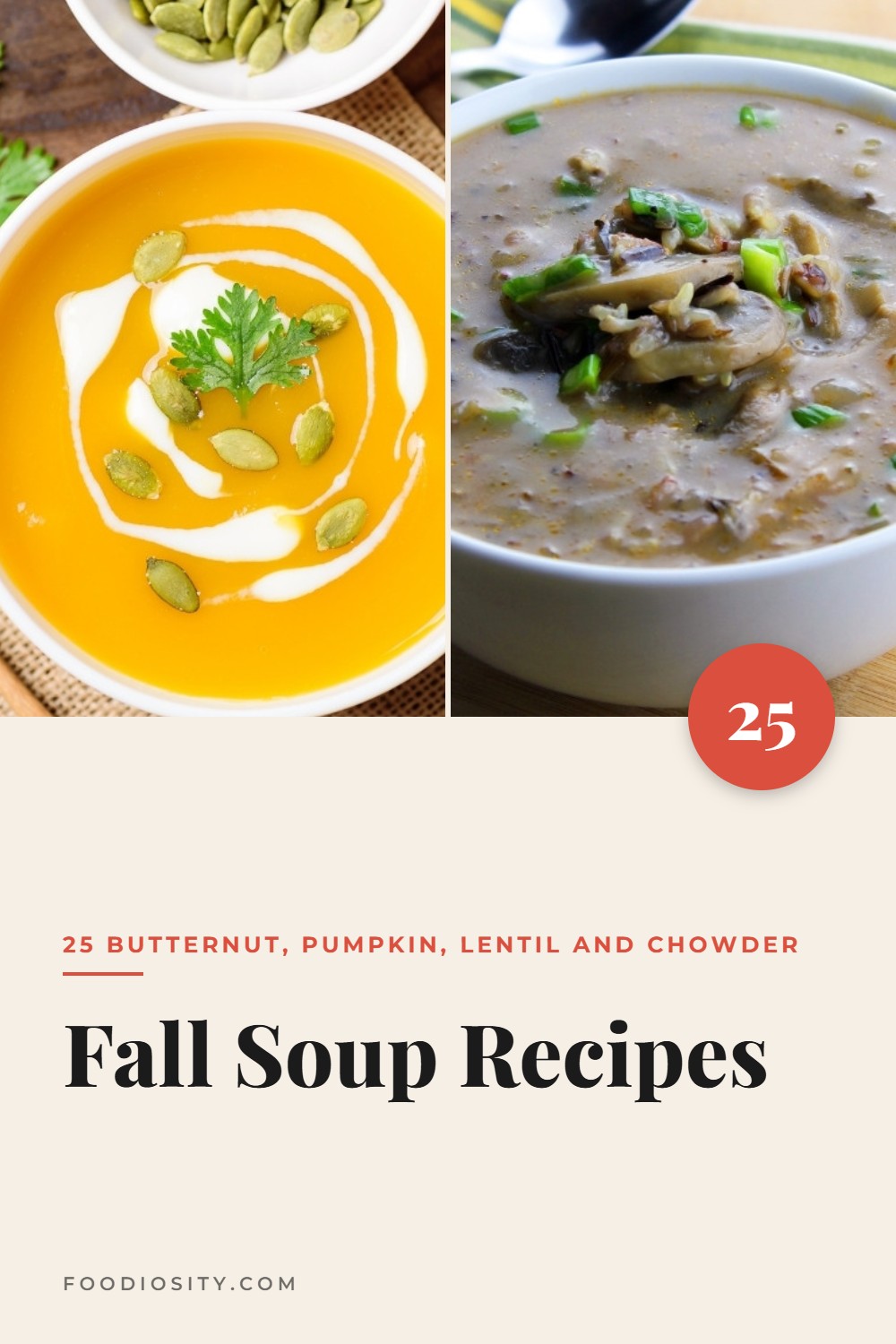 25 Fall Soup Recipes &mdash; Butternut, Pumpkin, Lentil and Chowder
