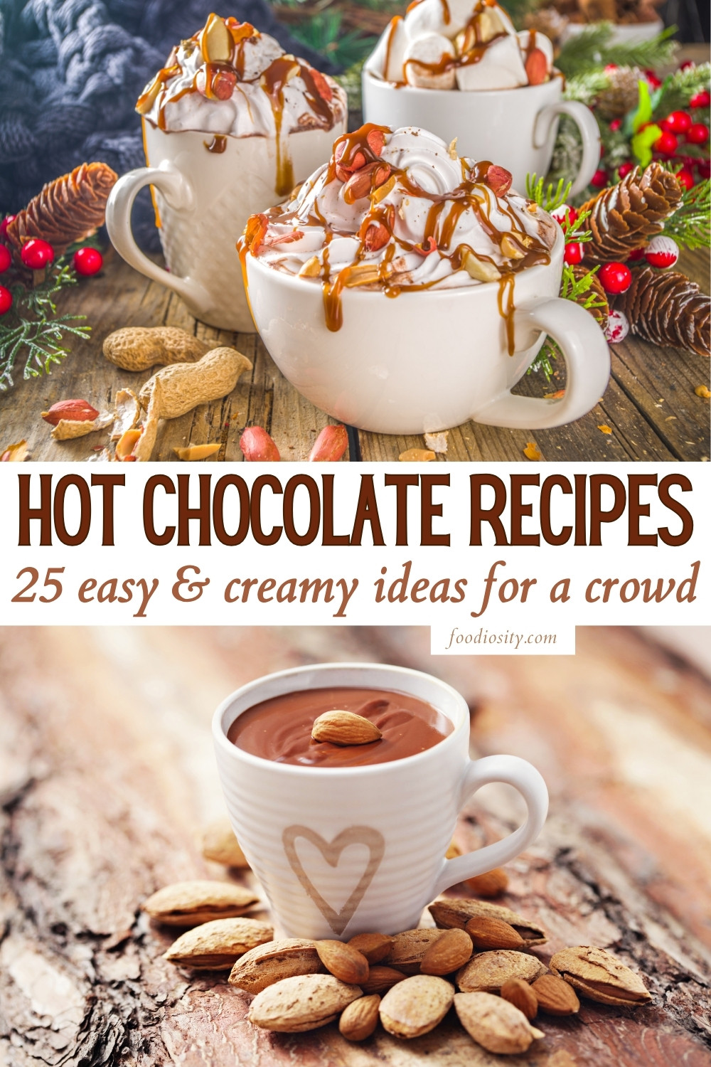 25 hot chocolate recipes 1