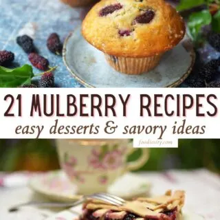21 Mulberry Recipes 1