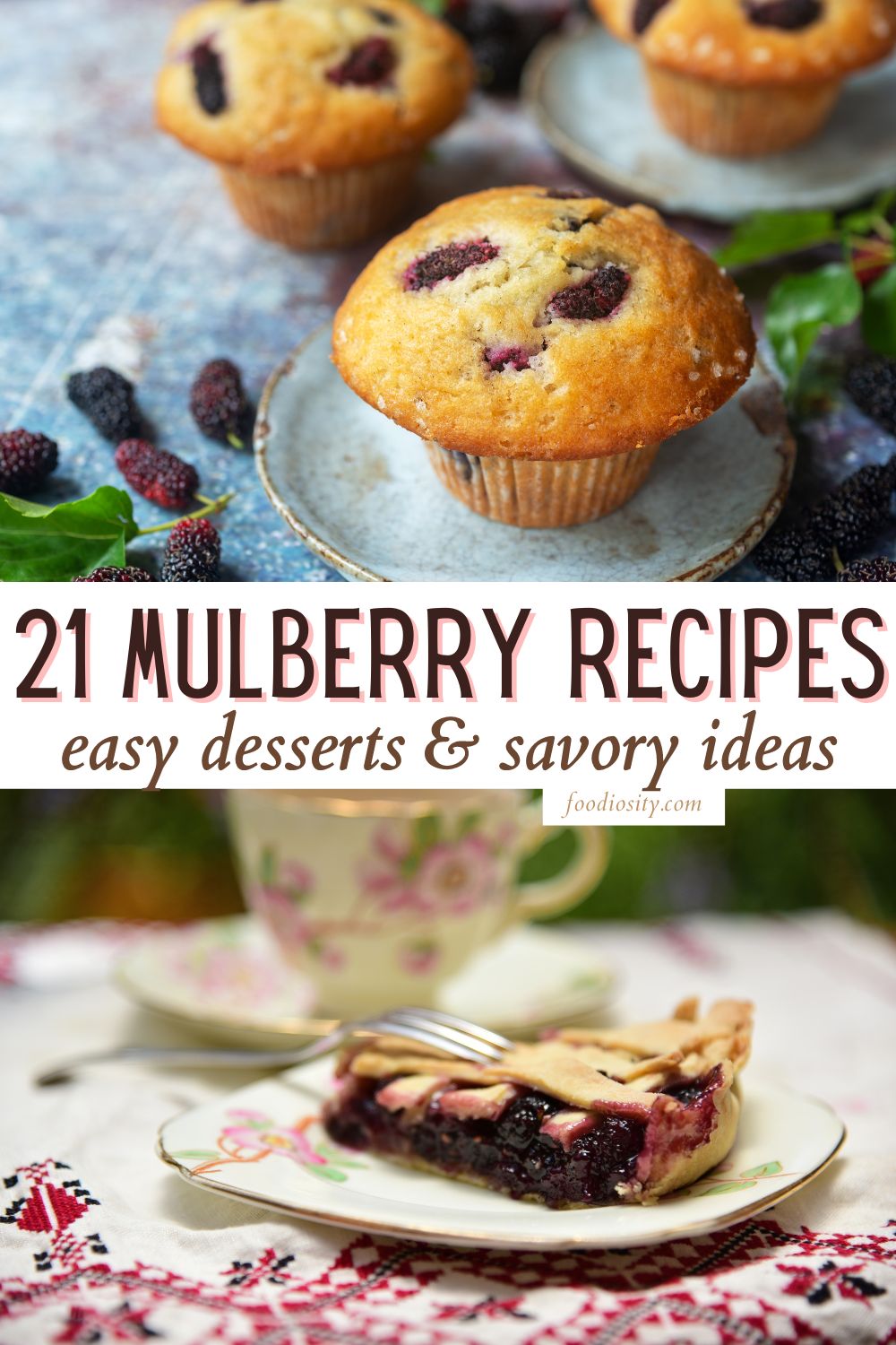 21 Mulberry Recipes 1