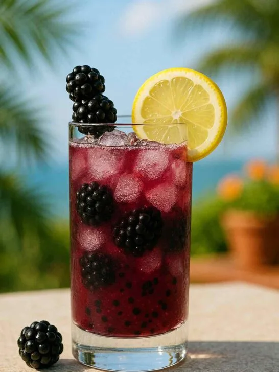 Blackberry Whiskey Lemonade &ndash; Sweet and Tart