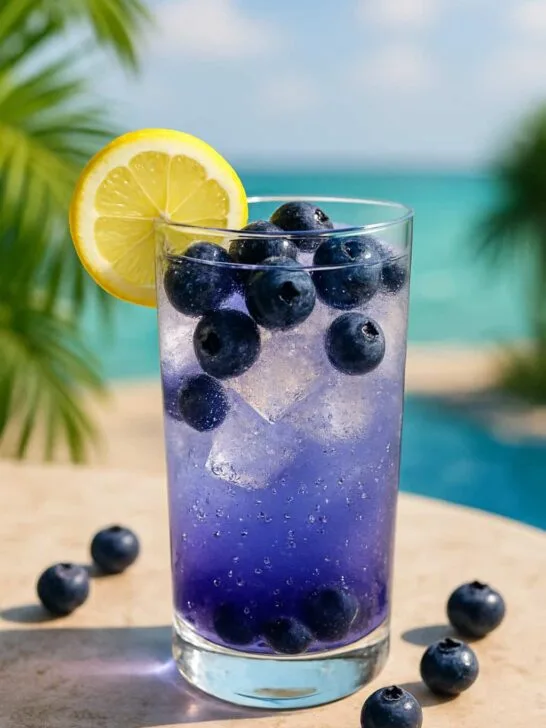 Blueberry Vodka Sparkler
