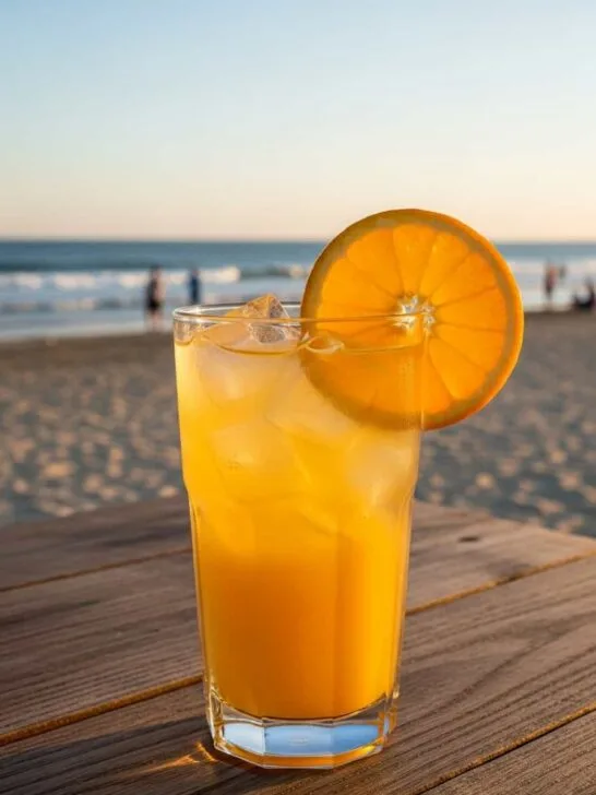 Citrus Long Island Beach Drink