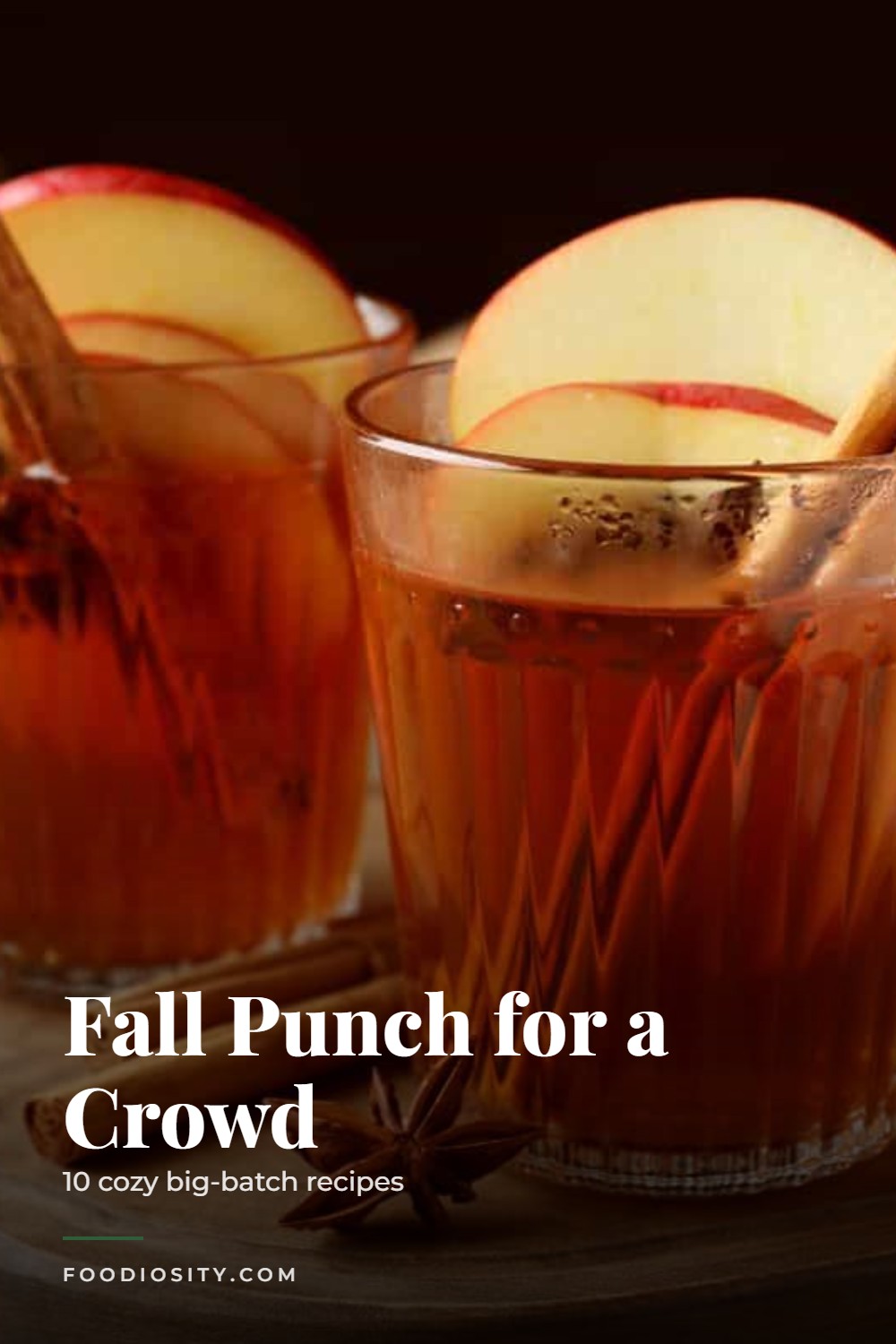 10 Fall Punch Recipes for a Cozy Autumn Party &mdash; Spiced Cider, Cranberry, Maple Cinnamon