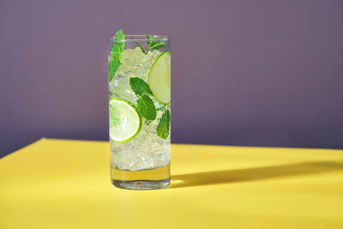 Sugar Free Mocktails