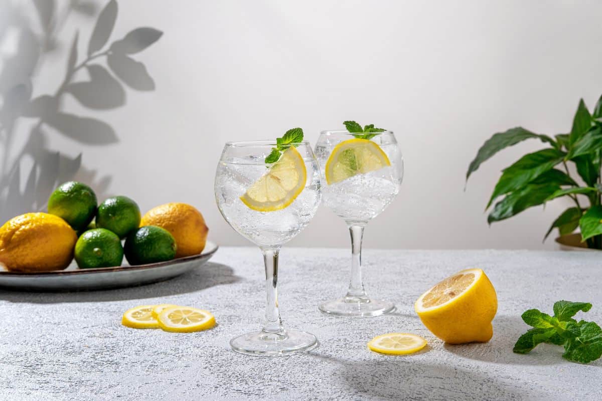 Tonic Water Mocktails